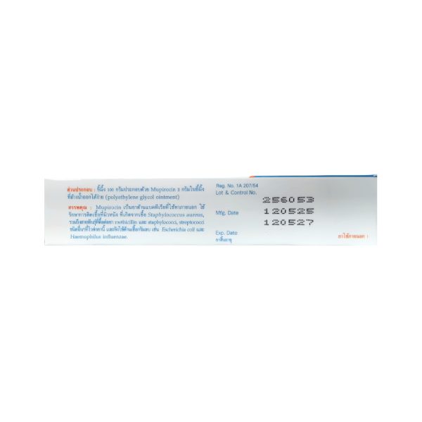 แบคทิซิน 5กรัม Bacticin ointment (นิด้า) - Radutit9