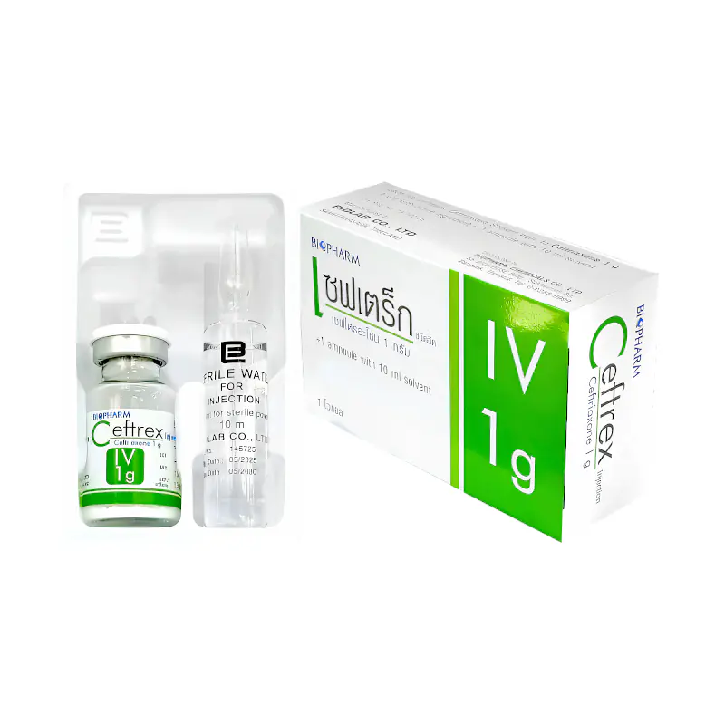 Parcebert Inj ยาฉีด เซฟเตร็ก (ไบโอฟาร์ม) Ceftrex 1g inj - Radutit9